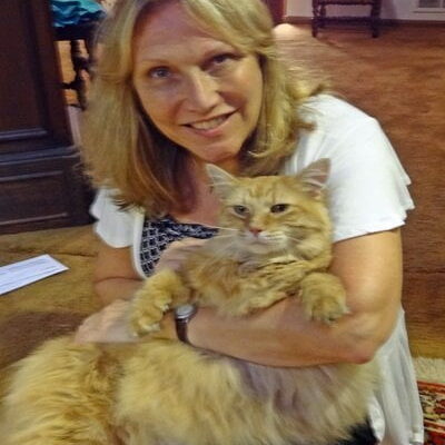 One of the vets holding an orange cat