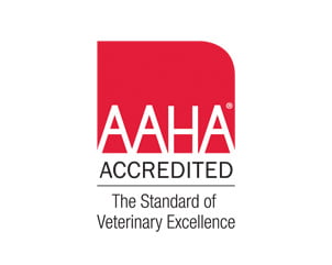 AAHA Accredited - Veterinarian in Fairfax, VA