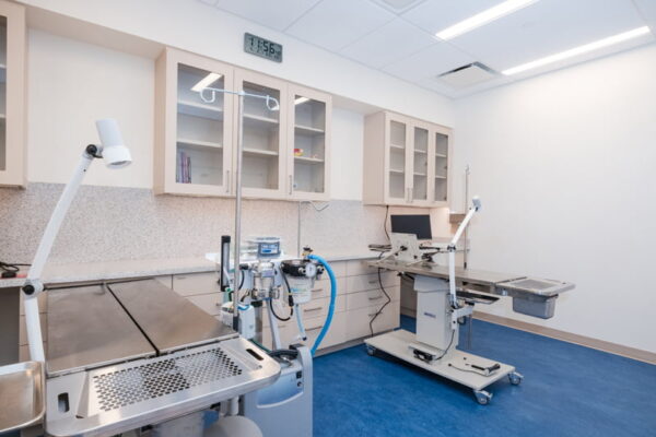 Dental Suite